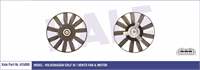 Fan Motor
