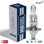Halogen Far Ampulu H1 12V 100W P14.5s