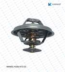 Termostat 60°C By Pasli Kupilyali Iveco 65-9 (117.450.60)