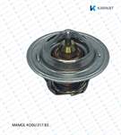 Termostat By Passiz Kupilyasiz 60 °C (02.300.60)