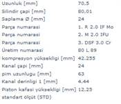 Motor Piston+segman