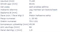 Piston+segman