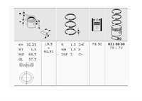 Piston Segman