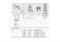 Motor Piston Segman