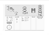 Motor Piston Segman