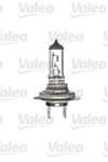 12V STANDART H7 AMPUL 55W