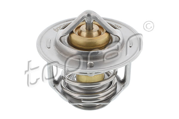 TERMOSTAT 89C