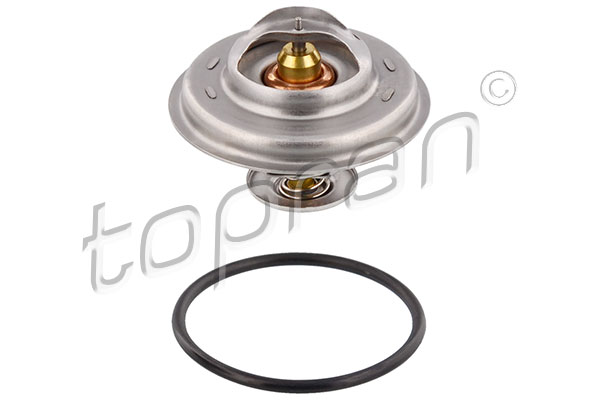 TERMOSTAT 87C