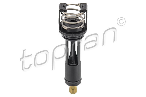 TERMOSTAT 113C