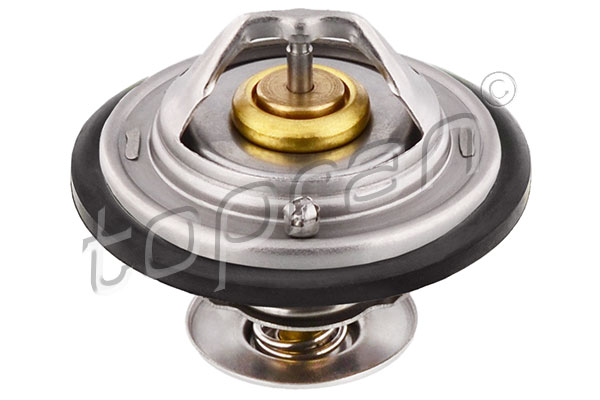 TERMOSTAT 87C