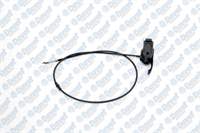 KAPUT ACMA TELI (RENAULT) R21 ####