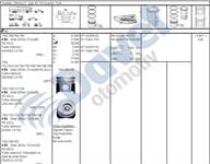 MOTOR PISTON SEGMAN 80.00MM RENAULT KANGOO MEGANE LAGUNA TRAFIC SCENIC VIVARO CARISMA 1.9TDI F9Q