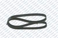 KANALLI KAYIS (6PK 1200) P206-P406-P605-CLIO II-DUSTER-KANGOO II-LAGUNA III-LOGAN-MICRA-QASHQAI-S80 II-SANDERO-V70