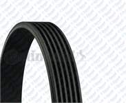 KANALLI KAYIS BRAVA BRAVO 1.9D 65 8V (95 97) PALIO 1.7D 8V 96=> HONDA