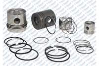 MOTOR PISTON SEGMAN 81MM STD OPEL VECTRA B A OMEGA CALIBRA 2.5 24V V6 93-02 X25XE C25XE 170PS
