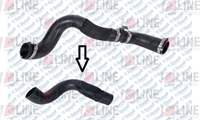 TURBO HORTUMU TRANSIT V363 2.2 TDCI {PLASTIK BORU HARIC OK ILE GOSTERILEN BUYUK HORTUM}