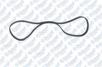 KANALLI V-KAYISI FIESTA 1.25I 16V 95-02 206 406 2.0HDI 99-04 FABIA 1.4 00-03 T4 2.5TDI 95-03 (6PK1750)