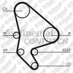 TRIGER KAYISI (141 DIS)(141X254)(CPPN 1343 9525M 25) PARTNER BERLINGO P206 P306 P307 C4 C5 JUMPER JUMPY XSARA SCUDO 2.0HDI-JTD