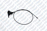 KAPUT ACMA TELI (RENAULT) R9 R11