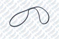 KANALLI KAYIS ASTRA J A20DTH - A20DTR - Y20DTJ -Z2 -> 3PK668