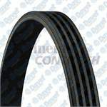 KANALLI KAYIS ALBEA PALIO DUCATO BOXER JUMPER