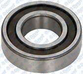 SANZUMAN RULMANI P106-P206-P306 I-II-P307-P1007-PA - - 6205 ETN9
