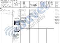 MOTOR SEGMAN 75.00MM STD PEUGEOT P206 P207 P307 P308 P3008 EXPERT III PARTNER  CITROEN C5 II FORD FOCUS CMAX 1.6HDI DV6 1.6HDI 16V OLCU 3×1.95X2.5