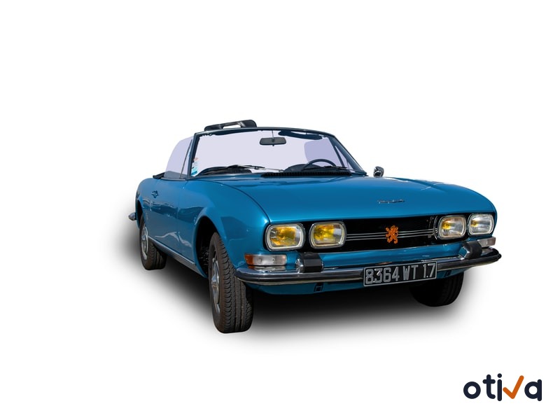 PEUGEOT 204 Coupe