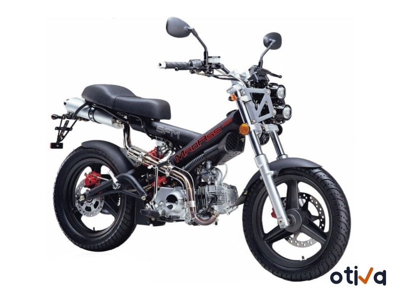 SACHS MADASS